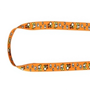 Nylon Dog <b>Leash</b> with Alloy Hook <b>Pet</b> Accessories Supplier from Divine International - Product Image 1