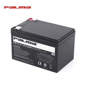 광동성 중국 팔마 PM12-12 12V12Ah 유지 보수 무료 납산 VRLA 태양 에너지 저장 배터리 - Product Image 4
