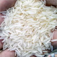 Riz Jasmin Thaï Bio en Gros, Blanc Pur, Grain Moyen, Texture Ferme, Frais et Séché, Qualité Supérieure, Certifié HACCP ISO, 5% de Brisure
