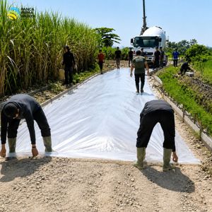 High Quality Transparent PE <b>Plastic</b> Film Roll Waterproof Protective Cover <b>Sheet</b> for Construction Greenhouse Agriculture - Product Image 6
