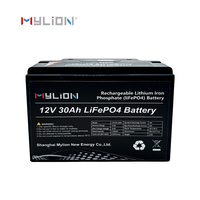 Mylion OEM Pasokan Massal Industri Baterai LiFePO4 360Wh 3.2kg 195*133*171mm 12V 30Ah untuk Integrator Sistem Proyek Industri