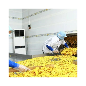 99 GOLD DATA VF Chips de Jaca Seca en Rodajas, Crujientes, Dulces, Saludables, Envasados al Vacío a Granel, Snack Vietnamita - Product Image 3