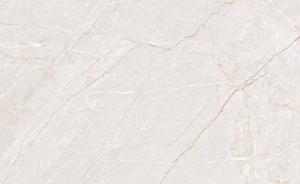 กระเบื้องปูพื้นและผนังพอร์ซเลนโมเดิร์นฟีนิกซ์บิอันโก้ ผิวด้าน ทนกรด สำหรับตกแต่งภายใน วิลล่า โรงพยาบาล ขนาด 60x120 ซม. - Product Image 2