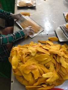 DEHYDRATED MANGO SLICES EXPORT QUALITY - Product Image 2