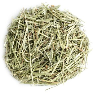 Heno de Alfalfa a Precio de Descuento / Heno de Alfalfa Timothy / Heno de Rhode - Product Image 4