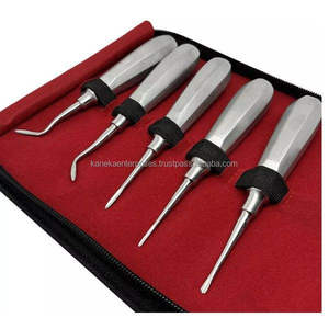 10 pièces ascenseur de racine dentaire Instruments orthodontiques desserrage des dents Kit d'extraction de racine outils chirurgicaux dentaires en acier inoxydable - Product Image 4