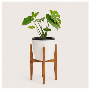 Support de plantes en bois massif moderne fait main pour l'intérieur, support de pot de fleurs pour salon, présentoir de plantes - Product Image 1