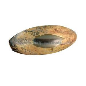 Juego de cubiertos ecológicos modernos, tazón de cuerno Real Natural, forma de barco, diseño sostenible para el hogar, escuela, comida, escuela, escuela - Product Image 6