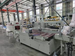 Venta Directa <span class=keywords><strong>de</strong></span> Fábrica, Máquina Automática <span class=keywords><strong>de</strong></span> Alta Calidad para Etiquetado y Empaquetado Termoencogible <span class=keywords><strong>de</strong></span> Rollos <span class=keywords><strong>de</strong></span> Toallas <span class=keywords><strong>de</strong></span> <span class=keywords><strong>Papel</strong></span>, <span class=keywords><strong>Precio</strong></span> Competitivo - Product Image 5