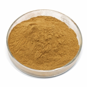สารสกัดซิสซัส ควอดรังกูลาริส แบบขายส่ง อัตราส่วน 20:1 ปริมาณมาก 100% บริสุทธิ์และเป็นธรรมชาติ ผงซิสซัส ควอดรังกูลาริส ราคาดีที่สุดจากอินเดีย - Product Image 3