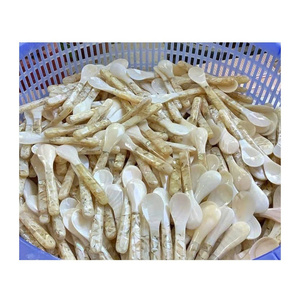ช้อนไข่มุกคุณภาพสูง ชุบเงิน ด้ามยาว เป็นมิตรกับสิ่งแวดล้อม ทำจากเปลือกหอยธรรมชาติ สำหรับอาหารระดับกูร์เมต์ ของขวัญทางธุรกิจ - Product Image 3