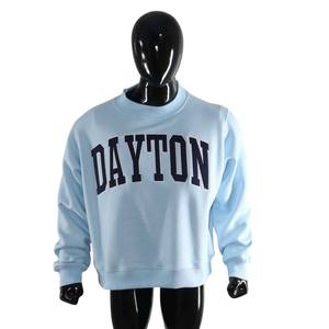 Sweat-shirt à col rond Dayton avec imprimé lettres pour femme, bleu clair, manches longues, tricoté, style automne - Product Image 3