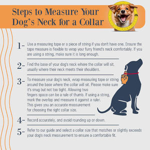 ปลอกคอสุนัขหนังดีไซน์ใหม่แบบปรับแต่งได้ ปลอกคอสุนัขกันน้ำ PVC ปลอกคอสุนัขแบบหนา ระบายอากาศได้ดี ขายส่ง - Product Image 6