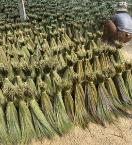 Grass Broom <b>Raw</b> <b>Material</b> For Making Head of Broom From Vietnam - Product Image 6