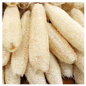High Quality <b>Loofah</b> Sponge Natural Vegetable Fiber for Daily Cleaning - Product Image 1