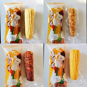 Mais Dolce Fresco in Grani da Tagliare sul <span class=keywords><strong>Pannocchia</strong></span> - Product Image 3