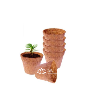 กระถางใยมะพร้าวธรรมชาติ TOP สำหรับเพาะต้นกล้าและจำหน่ายส่ง - Product Image 1
