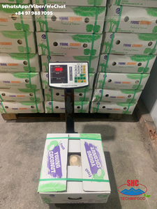 Noix de coco jeune fraîche de qualité supérieure, entière, en forme de diamant, à peau verte, durée de conservation de 70 à 90 jours, Ben Tre Techmifood - Product Image 5