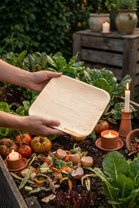Assiettes carrées en feuilles de palmier de qualité export, 10 pouces, compostables, solutions de service alimentaire pour vaisselle jetable durable - Product Image 1