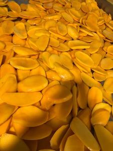 Rodajas de frutas tropicales masticables de Mango Seco a granel de origen vietnamita para distribución de aperitivos y exportación al por mayor - Product Image 6