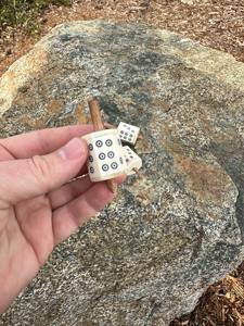 Dés à jouer en os de haute précision, polyédriques, pour marchés internationaux de jeux de table – Produit de jeu en gros à approvisionnement fiable - Product Image 3