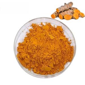 Extrait de curcumine 100 % pur et naturel, qualité alimentaire 95 %, poudre d'extrait de curcuma, 1 kg, provenance Inde, fourni par l'usine - Product Image 4
