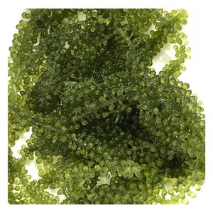 Meilleur Prix Raisins de Mer Déshydratés Vente en Gros Algues Séchées Vietnam 2026 - Product Image 4