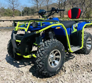 Moto tout-terrain ATV Wolf Warrior 200CC pour la plage, la jungle et le tourisme, transmission par chaîne CVT Longxin Power - Product Image 3