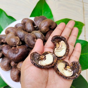 Suministro a granel de Nueces de Anacardo Enteras Orgánicas de Origen Vietnamita, Grados W180/W240/W320, Calidad Alimentaria, Crudas, Secas, Blanqueadas, Certificadas HACCP, Económicas - Product Image 4