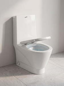 SANSO Golden Dragon - Conjunto de inodoro de una pieza con descarga, lavabo de cerámica para el mercado de Etiopía, suite de baño con pedestal y doble descarga - Product Image 1