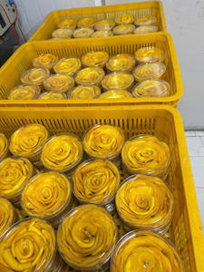 Mango Deshidratado Premium, Ingrediente para Postres, Cereales y Repostería, Suave y Masticable, Exportación a Granel, Origen Vietnam - Product Image 2