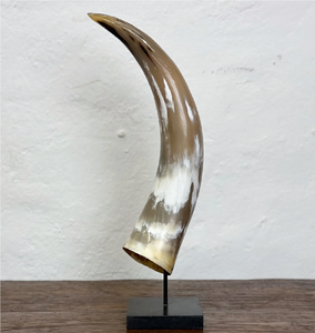 Personalized Buffalo Horn <b>Decorative</b> Showpieces Lowest Price Premium Quality Polished Hand Horn <b>Decorative</b> Item - Product Image 1