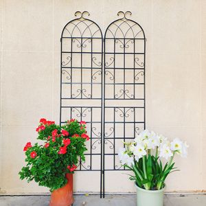 Set di 4 tralicci da giardino in metallo antiruggine da 220 cm x 50 cm per piante rampicanti, supporto per fiori da esterno - Product Image 2