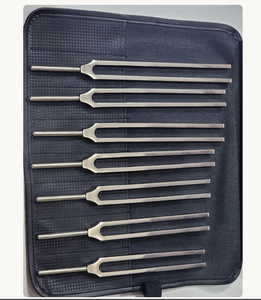 Mars International Manufacture - Juego de diapones grandes de acero inoxidable para sanación con sonido Chakra. - Product Image 5