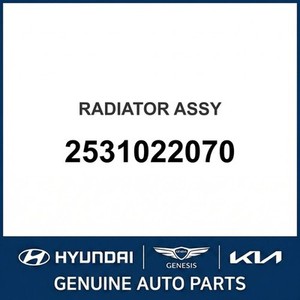 Radiadores Nuevos Accent 2531022070 - Product Image 1