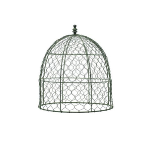 Cage de protection pour plantes en fer - Product Image 1