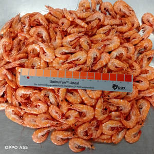 Crevettes entières cuites Vannamei Choso IQF surgelées de qualité supérieure du Vietnam - Product Image 2