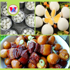 HUEVOS DE CODORNIZ EN SALMURAS ENLATADOS Green Choice 425g, HUEVOS DE CODORNIZ COZIDOS Y PELADOS, PREPARACIÓN RÁPIDA PARA SOPAS ASIÁTICAS Y COMIDAS EN Caja - Product Image 3