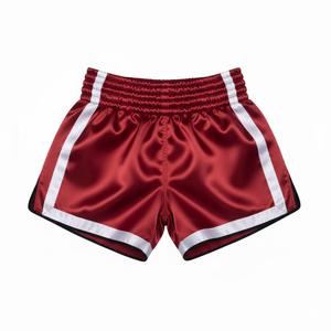 2026 Trendy Thai Boxing Shorts Muay Thai & MMA Training Front Logo For Martial Arts & Sports Training Shorts - Product Image 2