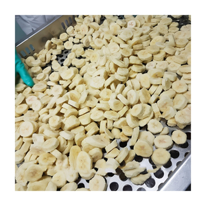 Bananes congelées en gros pour les usines de transformation alimentaire, les fabricants de boissons et les marchés d'importation internationaux - Product Image 1