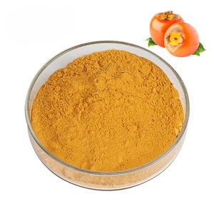 Extracto de Fruta de Caqui 100% Puro y Natural OEM 10:1, Polvo de Diospyros kaki de Calidad Premium para Alimentos Funcionales y Mezclas de Proteínas - Product Image 2