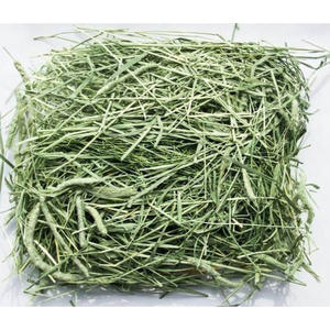 Heno de Timothy para alimentación animal / Pellets de heno de alfalfa / Heno de Timothy en pacas - Product Image 3