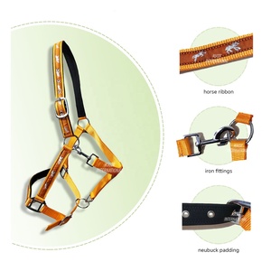 Vente en gros de licous d'équitation de style selle anglaise avec gravure de créateur raccords SS à sangle en nylon du fabricant indien - Product Image 3