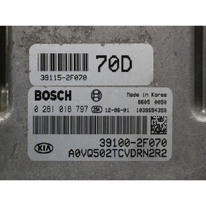 ECUs y Módulos de Computación Usados para Carnaval 391002F070 - Product Image 6