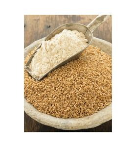Servicio OEM, Listo para Enviar, Trigo Duro Premium, Venta al por Mayor, Grado Alimenticio, el Más Vendido, Suministro a Granel - Product Image 5