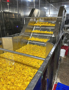 Vacuum Fried Jackfruit Chips Crispy Natural Fruit Snack Bulk Wholesale OEM Vietnam Supplier Blue Lotus - Product Image 6