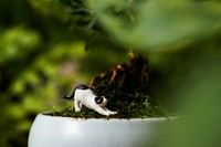 [2.9] Vaches Terrarium Accessoires Figurines en résine miniatures Décor de jardin