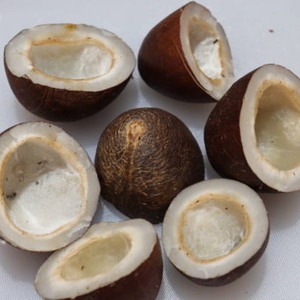 Noix de coco sèche entière maturée, noix de coco brune naturelle séchée, approvisionnement en vrac pour la distribution en gros et l'industrie alimentaire - Product Image 6