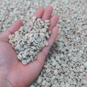 Sustainable Vietnam Robusta <b>Coffee</b> <b>Beans</b> Wholesale – Bulk Natural Green Unroasted Seeds OEM ODM Export Supply, 12% Moisture Stan - Product Image 1