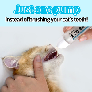 Dr.BY Contrôle de la plaque de tartre Ampoule orale Dentifrice liquide pour chats Soins de la mauvaise haleine Support Supplément de soins de santé pour animaux de compagnie - Product Image 2